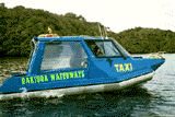 click here to visit Rakiura Waterways